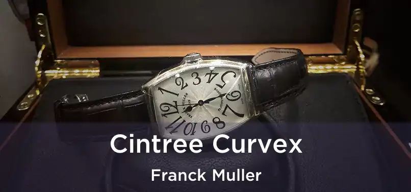  Cintree Curvex Franck Muller