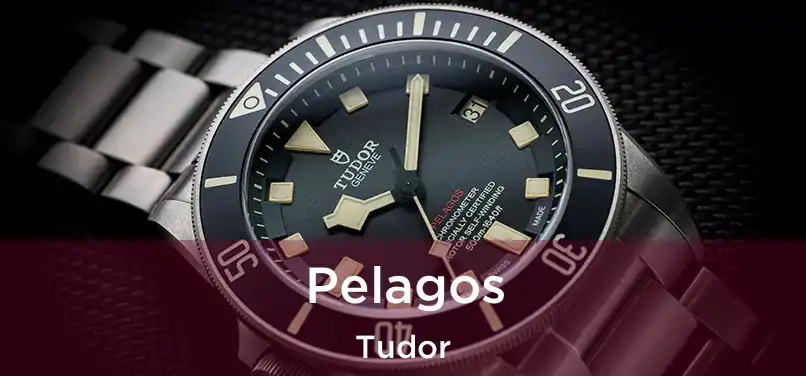 Pelagos Tudor